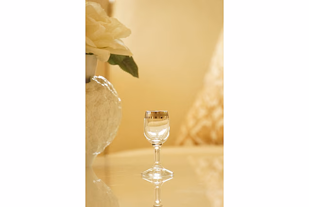Satin Platinum-SPI-Kieliszki do wódki 25ml